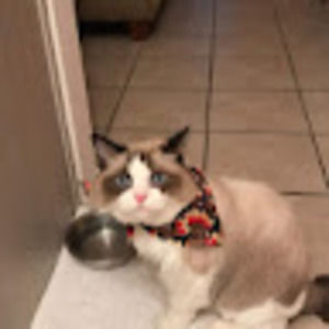 Meet your Posher, Maria